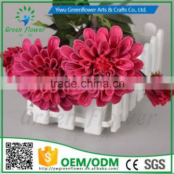 Greenflower 2016 Barberton Daisy Real Touch Two Herbaceous Peony Wedding Decrations Flowers photo-4