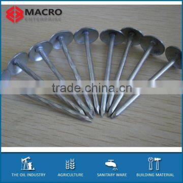 Electro Galvanized Roofing Nails smooth shank&twisted shank