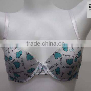 China manufacturer custom women bras girls teen lingerie