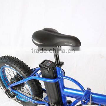 20" Foldable Fat Electric Bike in China photo-2