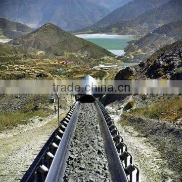 Steel cord conveyor belt for wood used, industrial conveyor belt