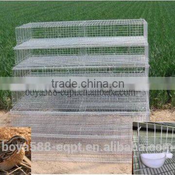 Factory supply commercial quail layer cage with full equipped system