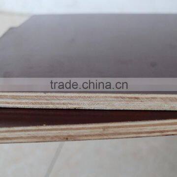 21mm thickness eucalyptus core film faced plywood