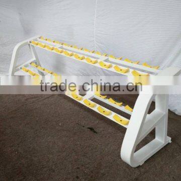 Commercial Grade Fitness Equipment Back Extension Preco Series for Strength