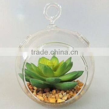 Made in China Party Decoration Hanging Glass Ball Succulent