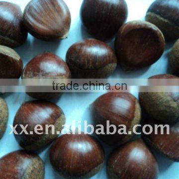 Chinese Fresh Chestnut Honey