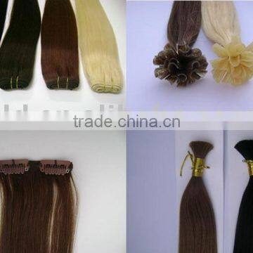 Human Hair Products / Hair Weaving / Hair Extensions / Clip-in Hair Extension / Pre-bonded Hair Extension