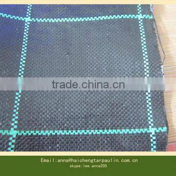 High quality 90gsm virgin pp plastic geotextile for ex-factory price