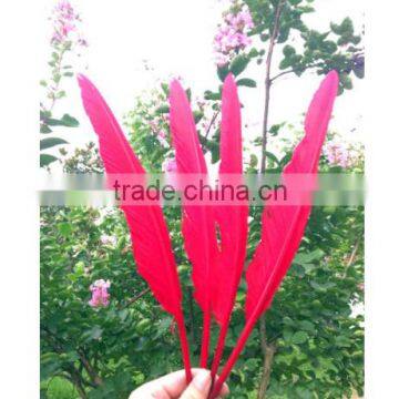 Natural Humpback Feathers 30-40cm 12-16inches photo-3