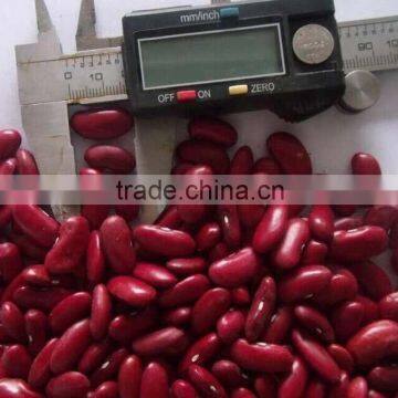 2015 Dark Red Kidney Bean shanxi orgin