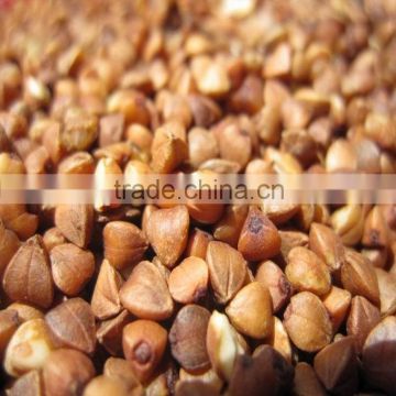 Organic hempseeds from China