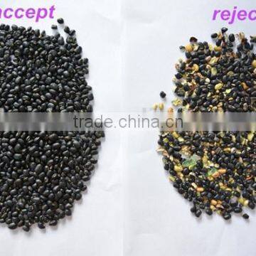 5000+pixel Multifunctional Velvet Bean Processing Machine/vanilla Bean Sorting Machine/jelly Bean Grader photo-4