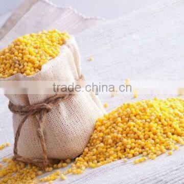 Hulled Millet Ukraine