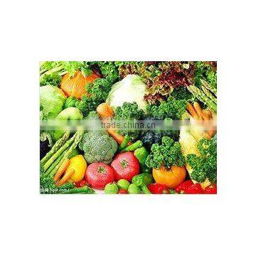 IQF frozen mixed vegetables