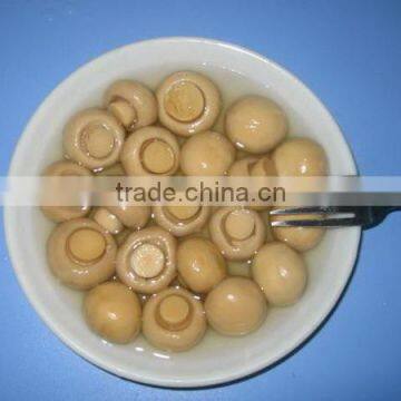 Canned Champignon Mushroom