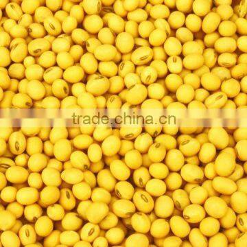 Yellow mung beans