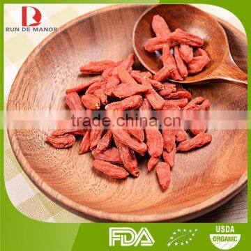 new harvest organic bulk goji berries/wolfberry from China/Ningxia Wolfberry