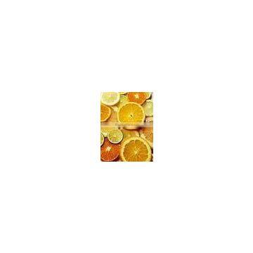 Preserved lemon Slices/Preserved fruit Slices/decorative lemon slices/dried flower