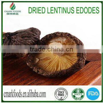 Dried Lentinus Edodes New