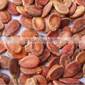 plumpness red watermelon seeds in China