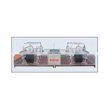 Pig Farming Breeding Equipment/ Gestation Cage/pig Cage/Monomer Sty/pig Stall/sow Single Stall/nursery Stall/farrowing Cage photo-6