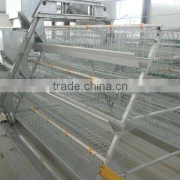 design layer chicken cages for chicken farm