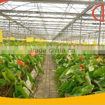 Production Type Greenhouse