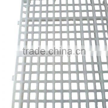 For sale worldwide quality and new design sheep plastic slat floor