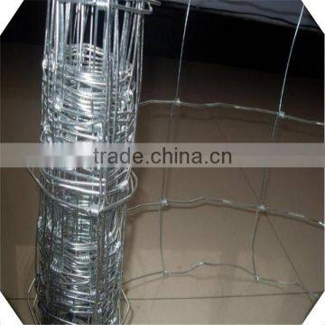 High Quality Galvanized Field Fence for Sale / Sheep Fence / Galvanized Fiedl Fence for Sale photo-2