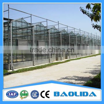 steel structure Glass house glass greenhouse