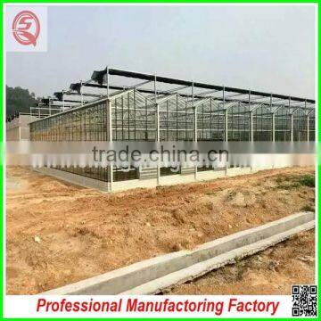 Durable Aluminium Profiles Venlo Polycarbonate Green House With High Quality and Best Service photo-5