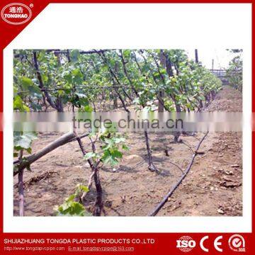 PE Material Drip Irrigation Pipe for Farm and Agriculture photo-6