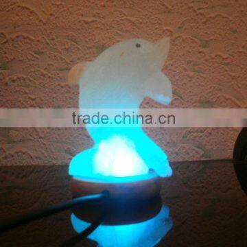 Rock Salt Crafting Lamp