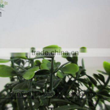 Anti-UV Grass Carpet , Artificial Milan Grass for Wholesale photo-4