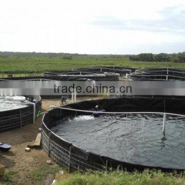 HDPE geomembrane of cheap price for pond lake dam vertical farming Waterproof liner