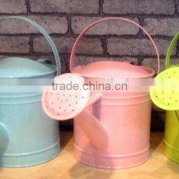 Mini Metal Watering Can