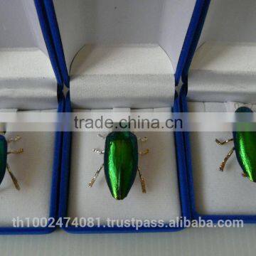 Brooch 2014 photo-3