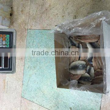 Frozen Sardine Fillets 60-100g/pc Skin on ,boneless ,5kgs per Carton photo-2