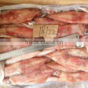 Sea Frozen Loligo Chinensis ,for Italy ,Greece et ,EU Market photo-2