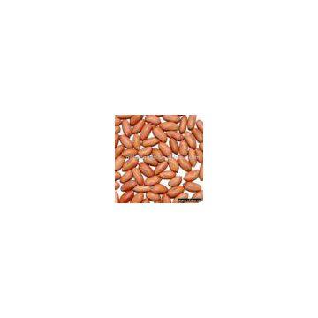 Roasted Peanut With Red Skin