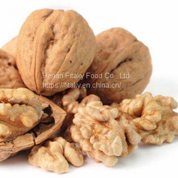 Paper Shell Walnut Hot Sale|Chinese Walnut Wholesale