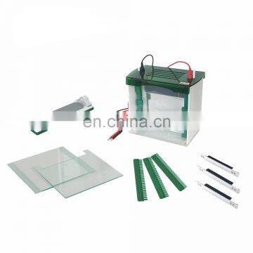 DW-CZ-BL gel documentation system hemoglobin electrophoresis