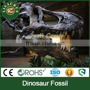 Lisaurus-I Dinosaur Fossil Sale Dinosaur Skull Head Life Size Dinosaur Skeleton Dinosaur Skeleton Puzzles photo-6