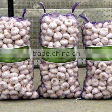 Normal white Garlic in 20kg mesh bag