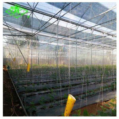 PO Film Plants Greenhouse Plastic uv Film Protective Film for Agriculture photo-2