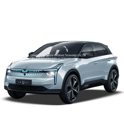 2023 The Latest High-speed Auto Electric Vehicle New Energy Neta U SUV Used EV Car