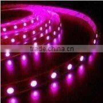 waterproof ledstrip ip68 smd5050