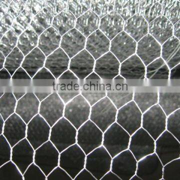 Galvanized Hexagonal wire netting