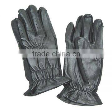 Show Riding Horse Gloves