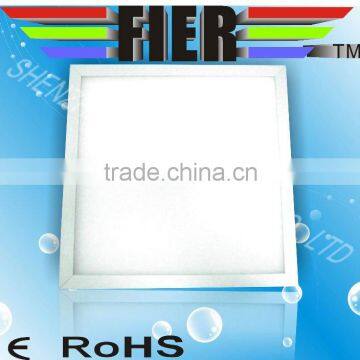 2010 LED Home Light